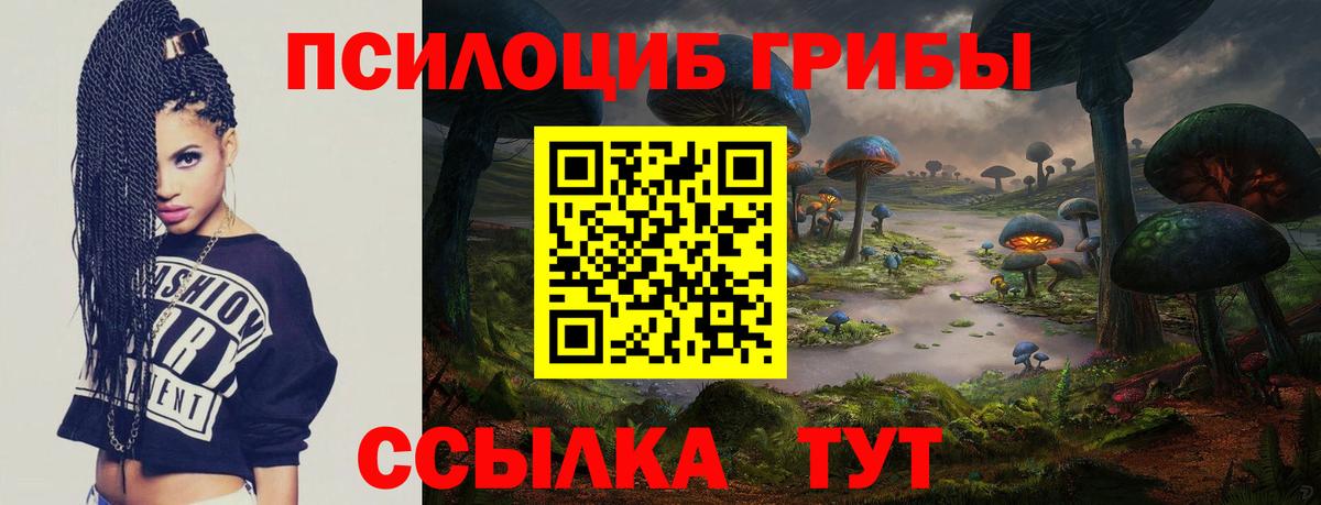 Псилоцибиновые грибы Magic Shrooms  Вход с VPN  Заречный 
